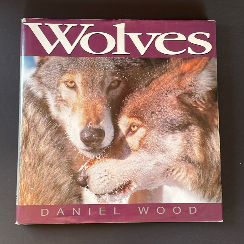 Wolves Daniel Wood HC Used Book Home Library Nature Wildlife Photography